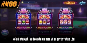 hổ hũ dàn quả